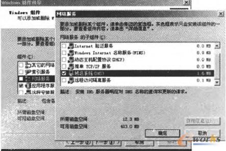 DNSWjյ